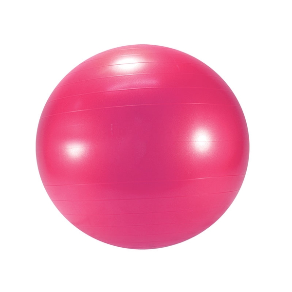 Gymnic Exercise Ball | Exercise Balls | OPTP