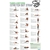 440PST Stretch Out Strap XL Training Conditioning Poster
