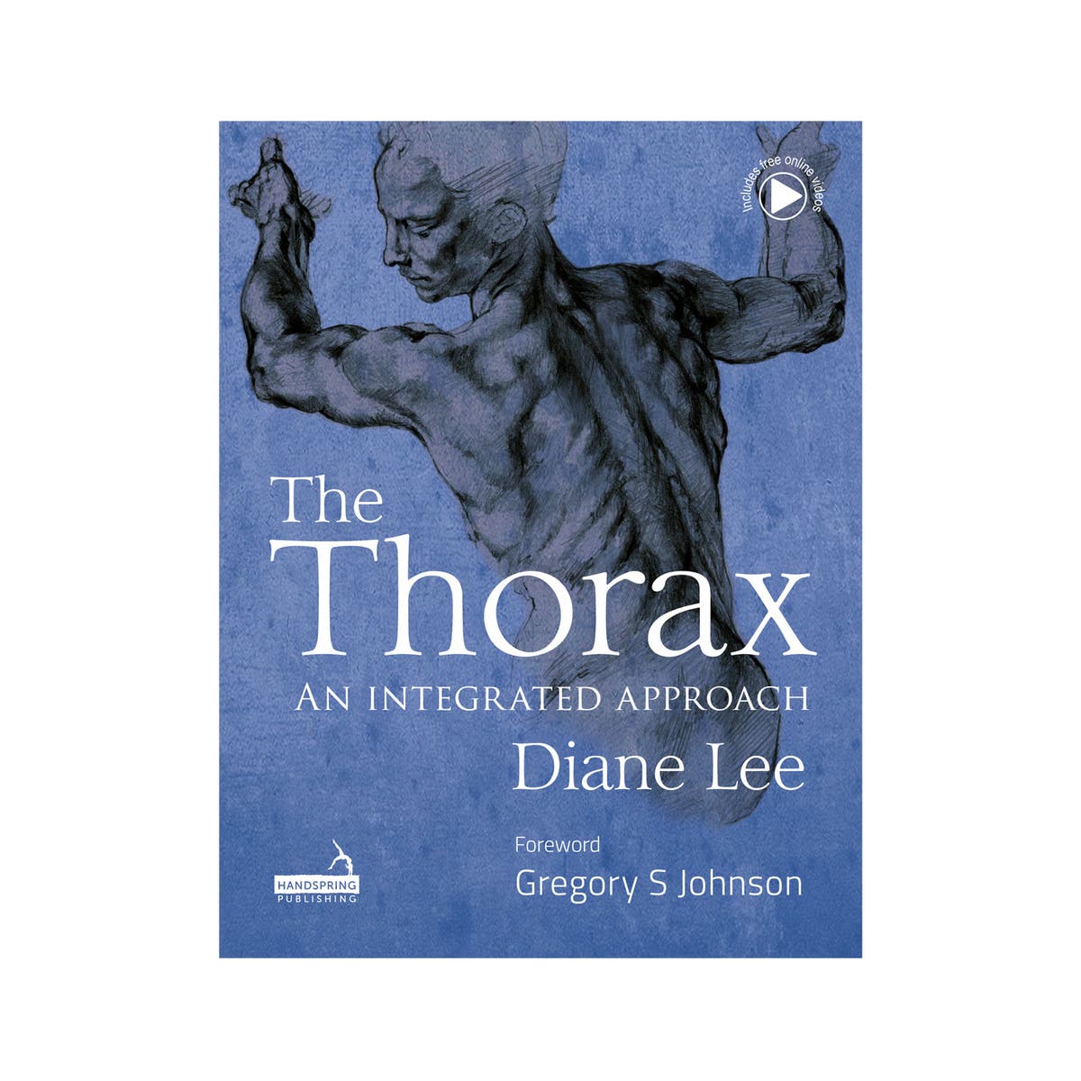 The Thorax